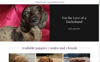 Cbstravelingdoxies.com Screenshot 2024-04-26 16:51:56