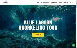Bluelagoonsnorkelingtour.com Screenshot 2024-04-17 06:58:03