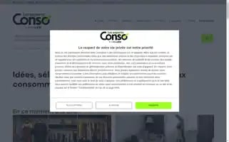 Lesexpertsconso.fr Screenshot 2024-07-01 11:28:18