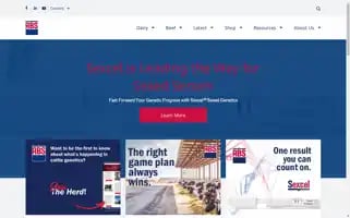 Absglobal.com Screenshot 2024-07-03 03:40:14