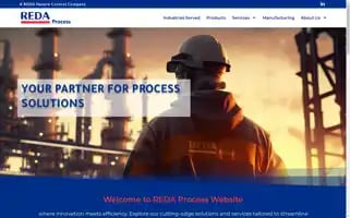 Redaprocess.com Screenshot 2024-07-06 02:29:50