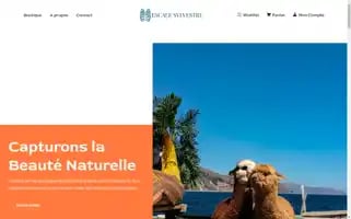 Escale-sylvestre.com Screenshot 2024-05-28 22:05:55