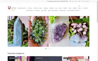 Theopenmindstore.com Screenshot 2024-07-04 16:02:52