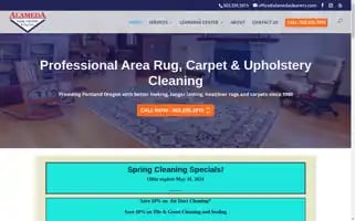 Alamedacleaners.com Screenshot 2024-05-15 10:49:53