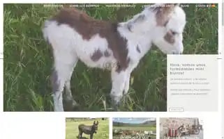 Burrosminiatura.com Screenshot 2024-06-11 20:32:50