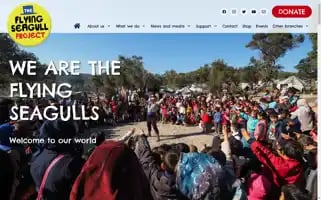 Theflyingseagullproject.com Screenshot 2024-06-13 00:24:35