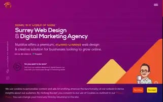 Nuttifox.com Screenshot 2024-07-03 08:42:31