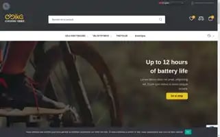 Choose-ebike.com Screenshot 2024-05-20 19:54:29