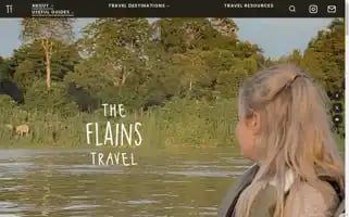 Theflainstravel.com Screenshot 2024-04-16 04:47:30