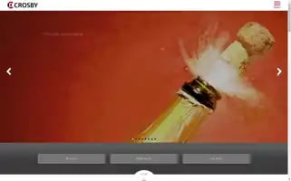 Crosbymarketing.com Screenshot 2024-07-03 09:45:35