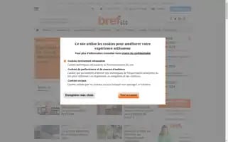 Brefeco.com Screenshot 2024-06-30 07:03:54