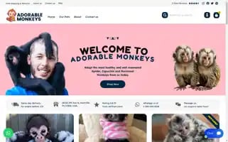 Adorablemonkeys.com Screenshot 2024-05-28 08:43:17