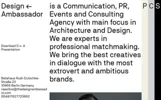 Thedesignambassador.com Screenshot 2024-06-18 13:30:20