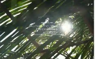 Verylocaltrip.com Screenshot 2024-04-16 22:00:53