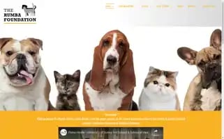 Therumbafoundation.org.uk Screenshot 2024-07-02 19:13:17