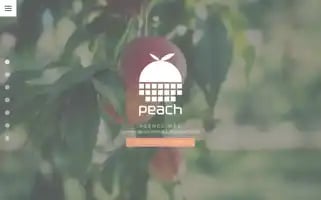 Agencepeach.fr Screenshot 2024-06-17 01:14:57