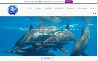 Seanomadtravel.com Screenshot 2024-04-18 08:23:38