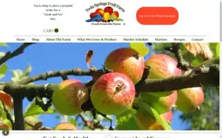 Twinspringsfruitfarm.com Screenshot 2024-07-02 19:54:38