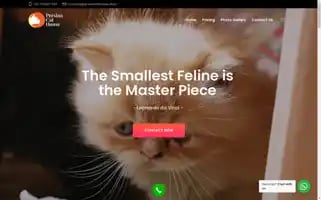 Persiancathouse.shop Screenshot 2024-05-25 14:38:02