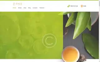 Ampelopsisgrossedentata.com Screenshot 2024-05-26 08:28:23