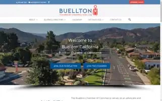 Buellton.org Screenshot 2024-06-30 06:13:56