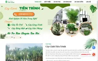 Caycanhtientrinh.com Screenshot 2024-05-25 04:27:25