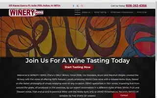 Oenowinemaking.com Screenshot 2024-06-12 14:41:33