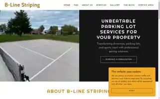 Blinestriping.org Screenshot 2024-04-22 17:21:12
