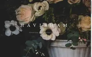 Havishamstudio.com Screenshot 2024-05-19 23:56:05