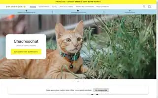 Chachoochat.com Screenshot 2024-05-03 18:48:12