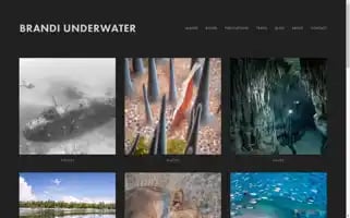 Brandiunderwater.com Screenshot 2024-07-09 02:26:14