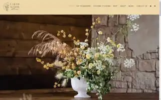 Earthwithin.com Screenshot 2024-06-12 03:02:35