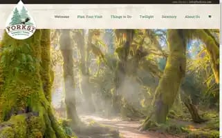 Forkswa.com Screenshot 2024-06-16 04:31:31