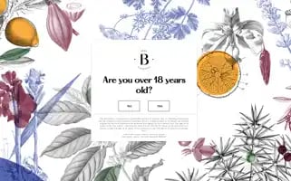 Planbgin.com.au Screenshot 2024-05-18 14:08:57