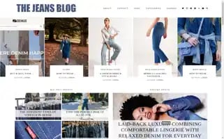 Thejeansblog.com Screenshot 2024-05-14 09:21:17