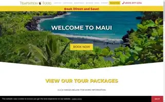 Temptationtours.com Screenshot 2024-04-16 16:53:32