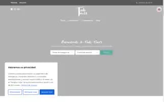 Todotours.com Screenshot 2024-04-15 16:33:33