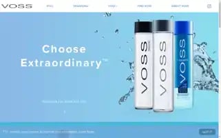Vosswater.com Screenshot 2024-05-14 22:57:12