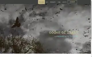 Codesoflight.net Screenshot 2024-04-24 10:05:56