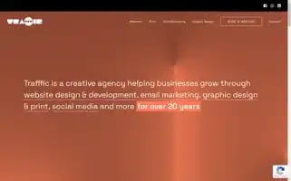 Trafffic.com Screenshot 2024-07-02 00:51:36