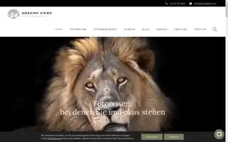 Amazingviews.ch Screenshot 2024-06-11 07:30:52