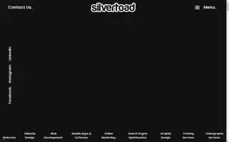 Silvertoad.co.uk Screenshot 2024-07-02 14:29:17