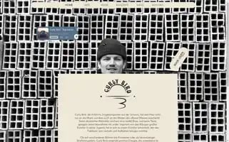 Curlybirdmusic.com Screenshot 2024-07-04 08:39:05