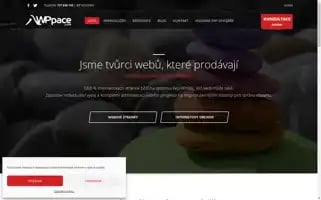 Wppace.com Screenshot 2024-06-14 20:46:44