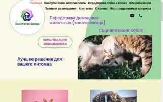 Pethotel.by Screenshot 2024-04-25 15:44:56