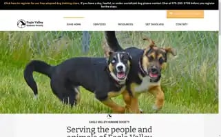 Adoptafriend.org Screenshot 2024-06-14 02:39:26