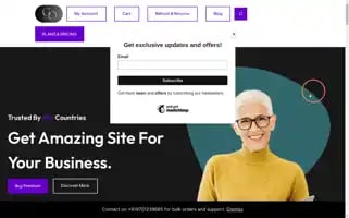 Goinvesters.com Screenshot 2024-05-28 14:36:22