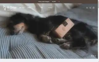 Hdrop.co.jp Screenshot 2024-05-03 13:10:40
