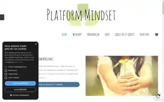 Platformmindset.nl Screenshot 2024-06-11 13:32:28