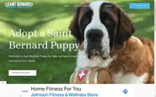 Saintbernardpuppyforsale.com Screenshot 2024-05-22 07:35:26